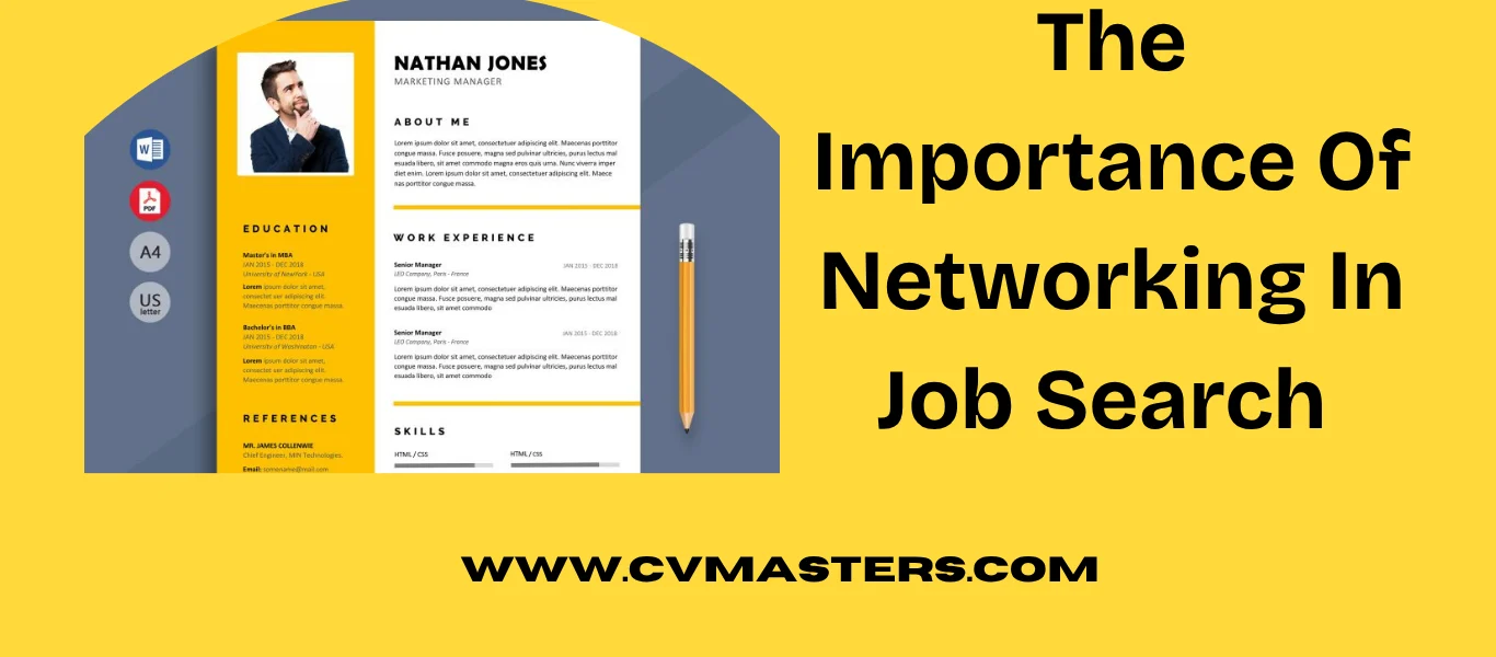 Networking In Job Search